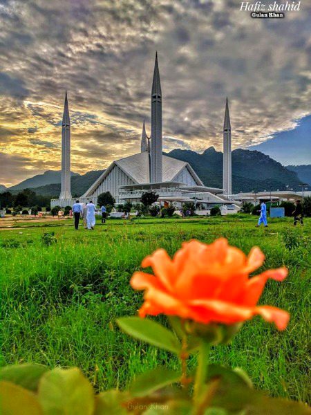 Beautiful Structures image