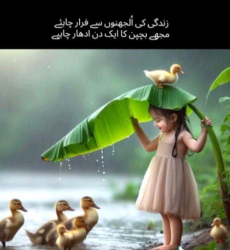 .g3.g3.g3✨✨✨.g3.g3.g3