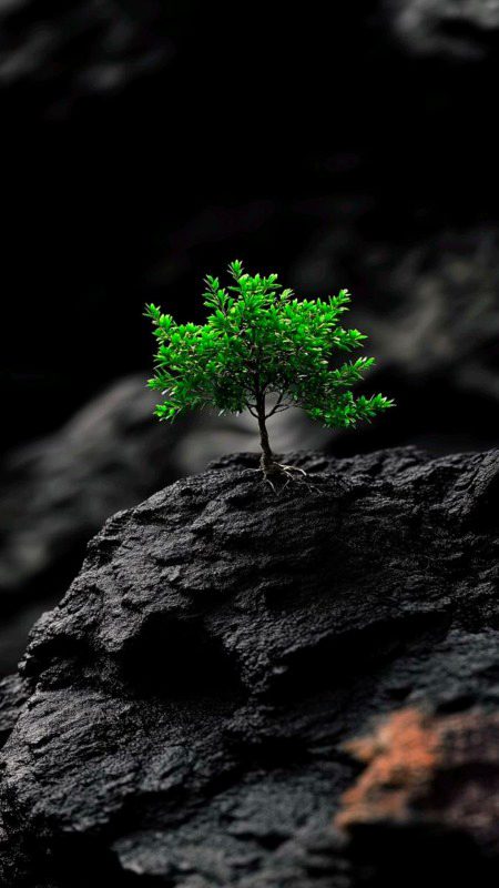 Beautiful Nature image