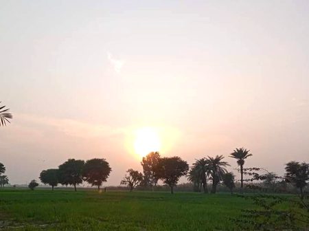 Beautiful Nature image