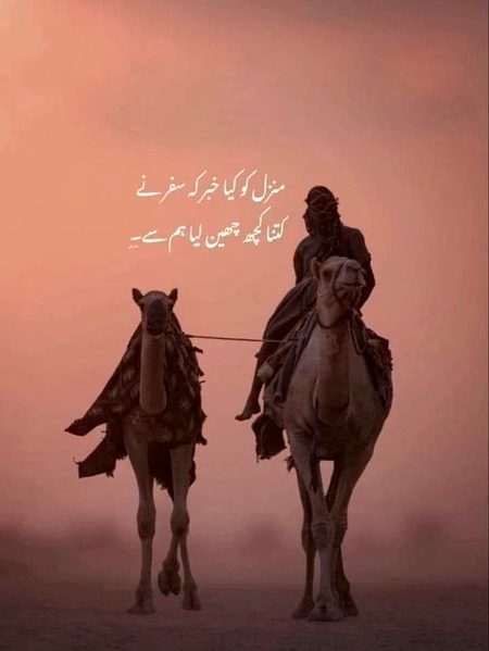 🦋✨🪷🌞🌷🌹🪄...