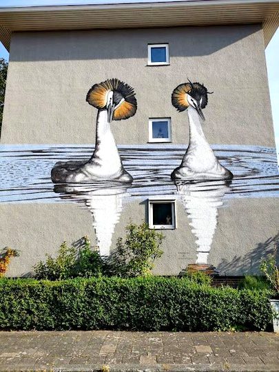 Street Art image