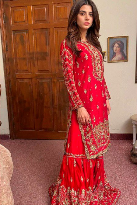 Pakistani Celebs image
