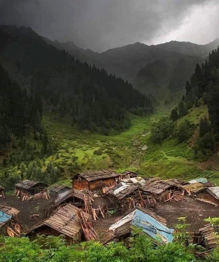 Beautiful Nature image