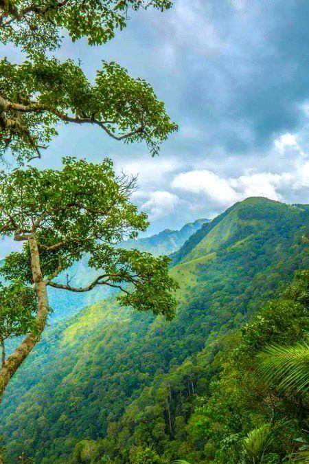 BEAUTIFUL NATURE