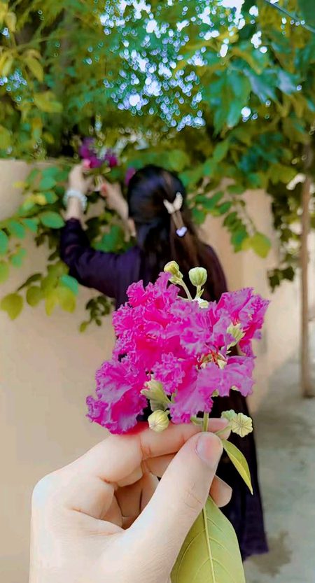 Beautiful Nature image