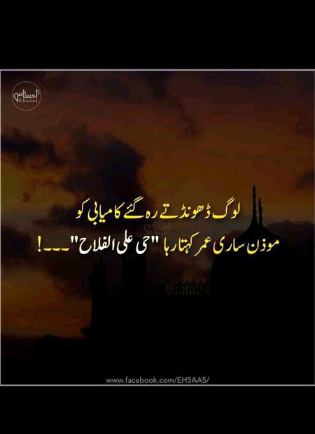 What is your opinion
