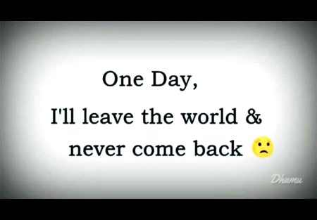 Memes & Satire image