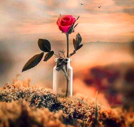 *زندگی میں آدھا دکھ غلط لوگوں سے امید رکھنے سے آتا ہے اور باقی کا آدھا دکھ سچّے لوگوں پر شک کرنے سے آتا ہے...... 🔥*