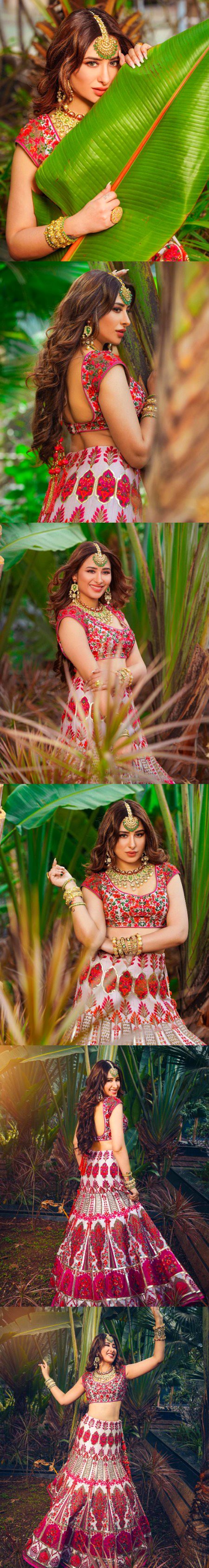 Indian Celebs image