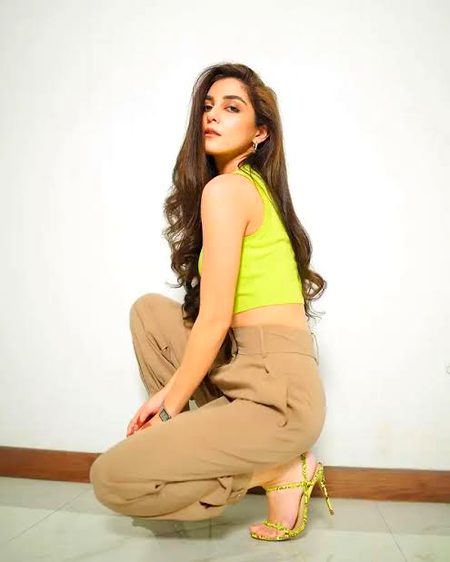 Pakistani Celebs image