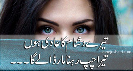 Sad Poetry image