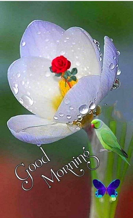 🤩🤩🤩🥳🥳morning happy sunday...