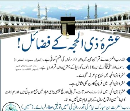 Zillhaaj