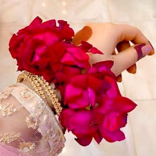 Beautiful Nature image