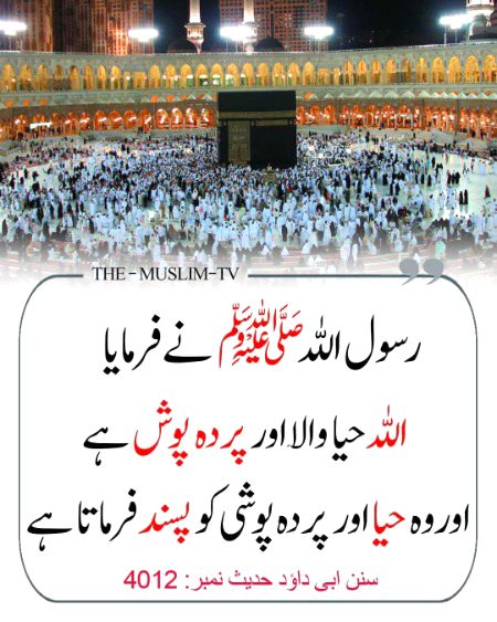 Islamic Quotes image