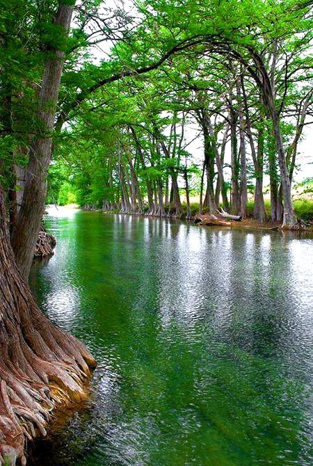 Beautiful Nature image
