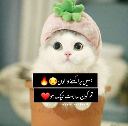 Attitude Poetry image