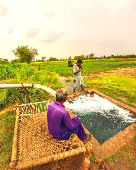 Beautiful Nature image