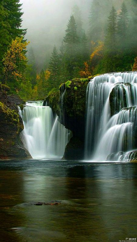 Beautiful Nature image