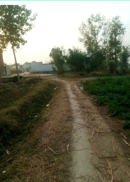 Beautiful Nature image