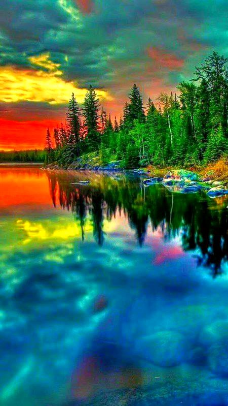 BEAUTIFUL NATURE