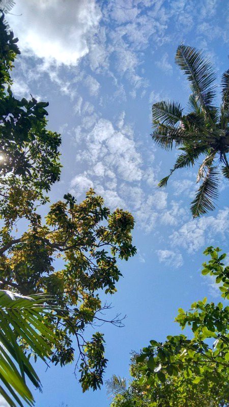 Beautiful Nature image