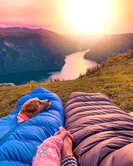 In this distant life, if a person wakes up and spends a few moments on it, then he realizes that this is the life. 😊💐 Rumi Fairy Mani