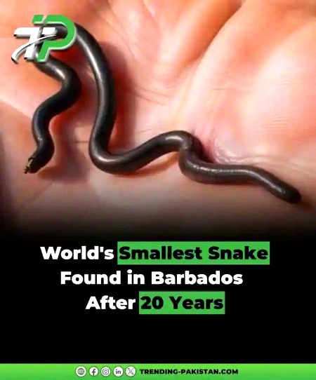 Interesting Posts image