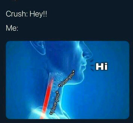 Memes & Satire image