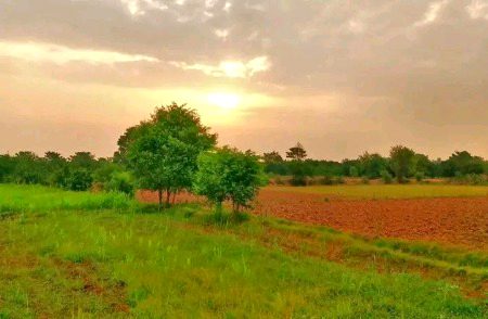 اُداسیاں ہیں مگر وجہ غم معلوم نہیں __🤍🌻