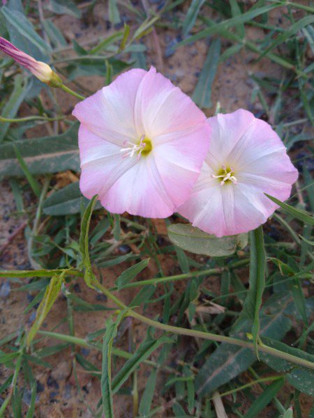 Beautiful Nature image
