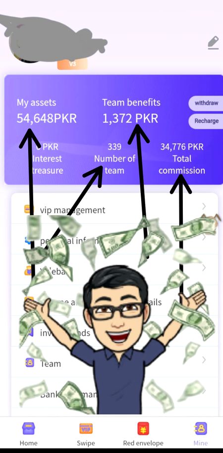 See my earning