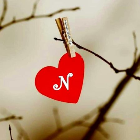 💕(My)💌(Life)😍(16)💞