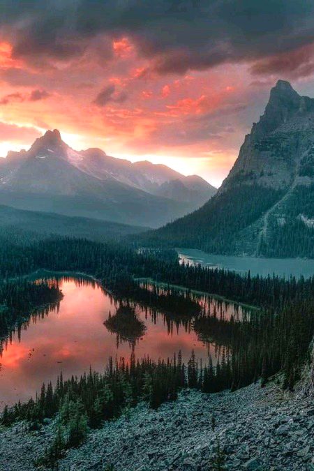 Beautiful Nature image