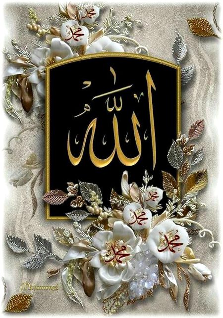 Islamic Quotes image
