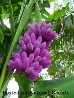 Beautiful Nature image