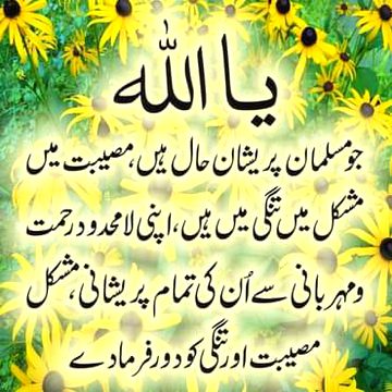 Ameen kaho or like krty jao?*