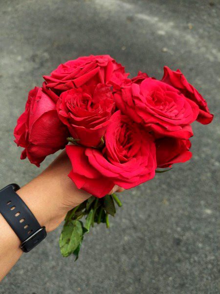 Ye lo phool beya 😊