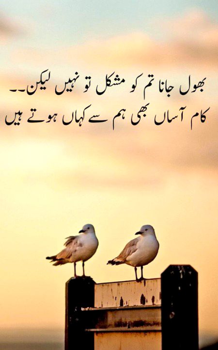 Attitude Poetry image