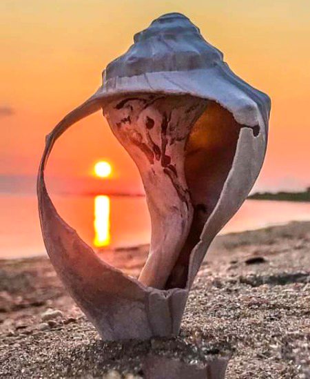 Beautiful Nature image