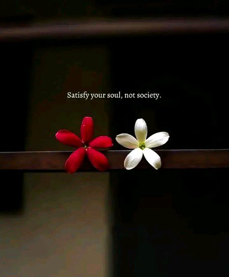 Life Advice image