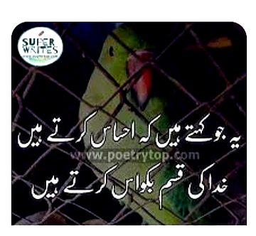 Attitude Quotes image