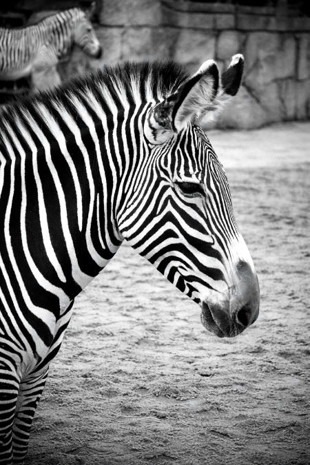 Beautiful Nature image