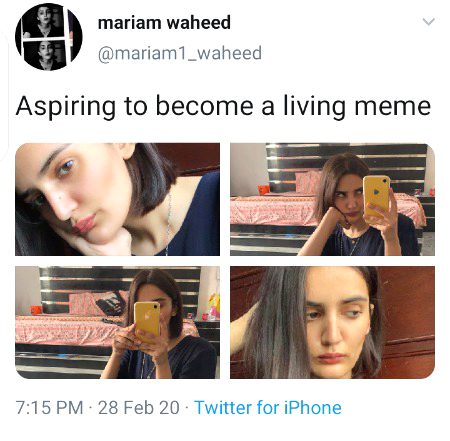 Memes and Satire