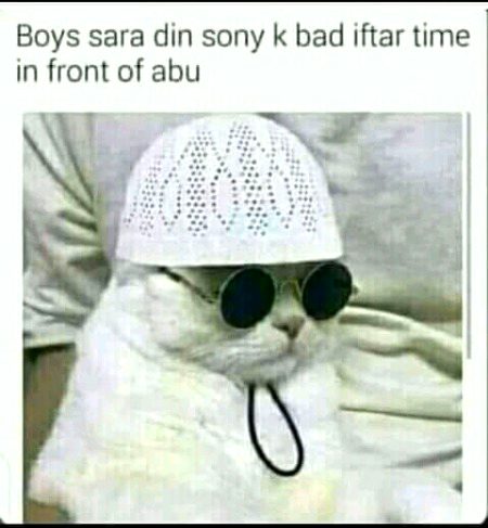 Memes & Satire image