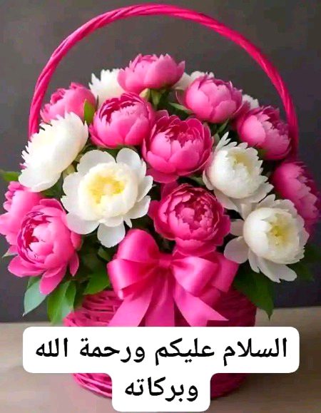 Beautiful Nature image