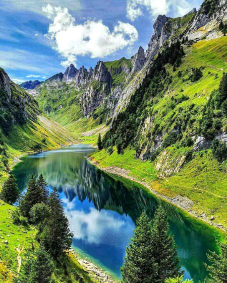 BEAUTIFUL NATURE