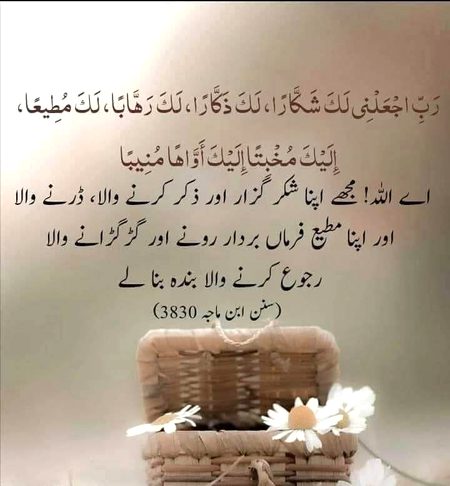 Ghjgvhygh ngcbhff hfcbh