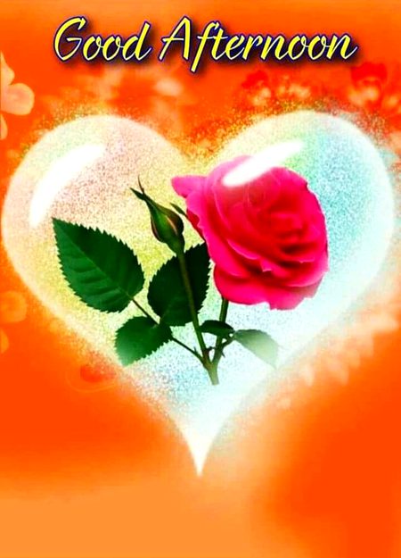 🌷🌷❤❤🌹🌹❤❤🌺🌺🌺🌻🌻🌸🌸💐💐🍎🍓🍉🍇🍒🍋🍐🍍🍊🍌🍈❤❤❤❤🍇🍇🍉🍉❤❤❤❤❤🌺
Naeem Bhai aap k lye 
Dil se Duain hain yarr
Ap khush raho or hr pal
Hr lamha Ameen
💞Merijan16💞